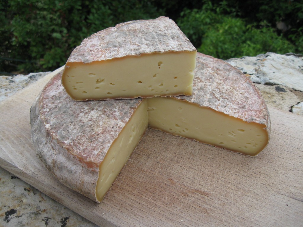 Association pains et vins avec le Saint-Nectaire