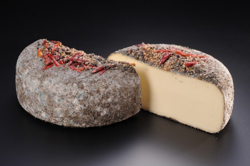 Association pain et vins avec la Tomme Montfinoise