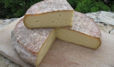 Association pains et vins avec le Saint-Nectaire